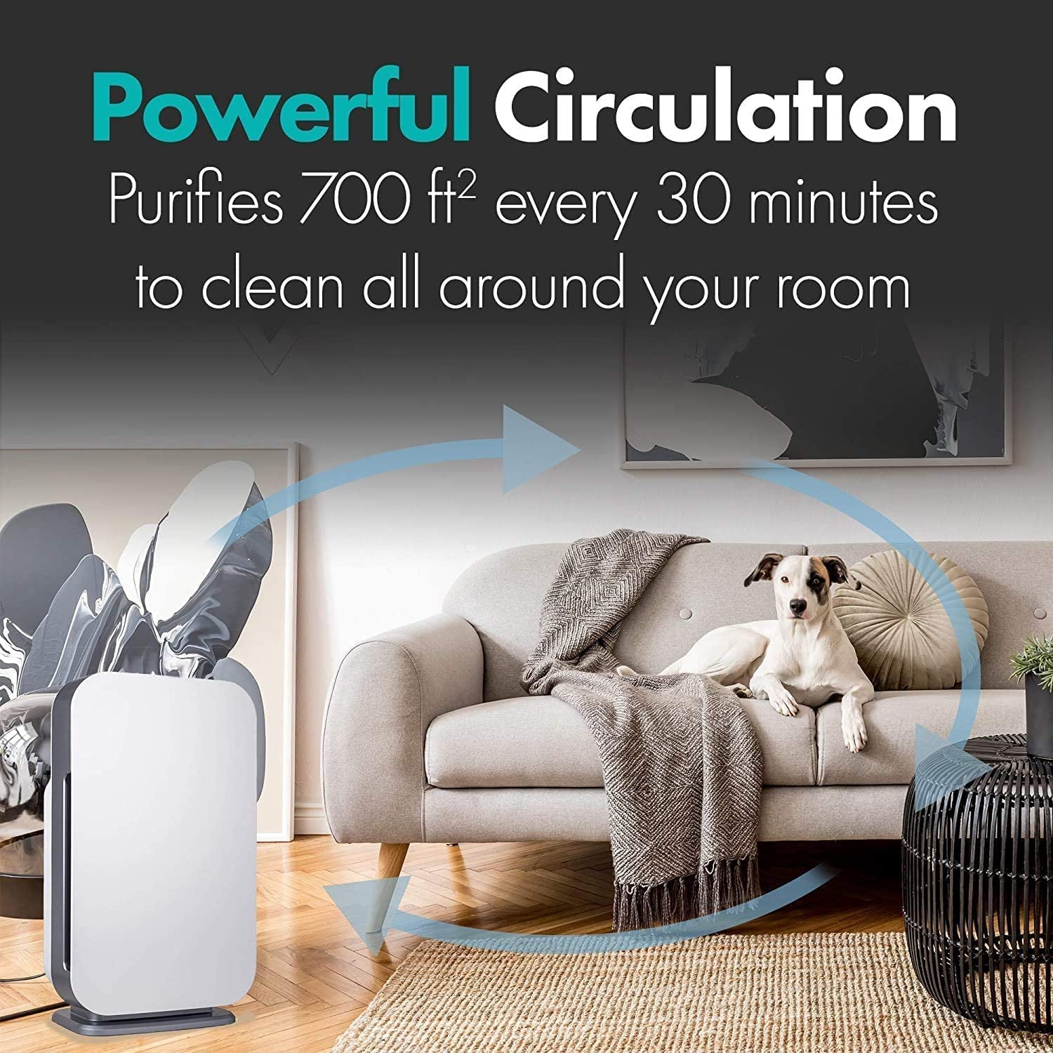 Air Purifier Breathesmart Flex HEPA with Fresh Filter + Carbon | 1400 Sq. Ft | Perfect for Bedrooms & Home Offices - Captures Allergens, Dust, & Mold + Household Odors & Smoke - White